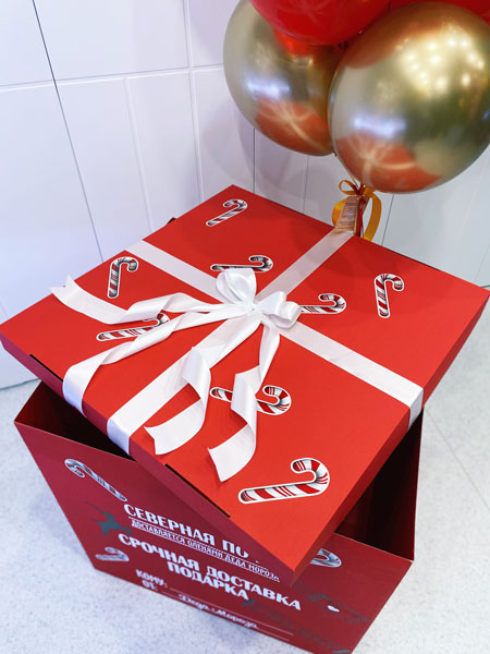 Коробка сюрприз с шарами «Новогодняя северная почта»