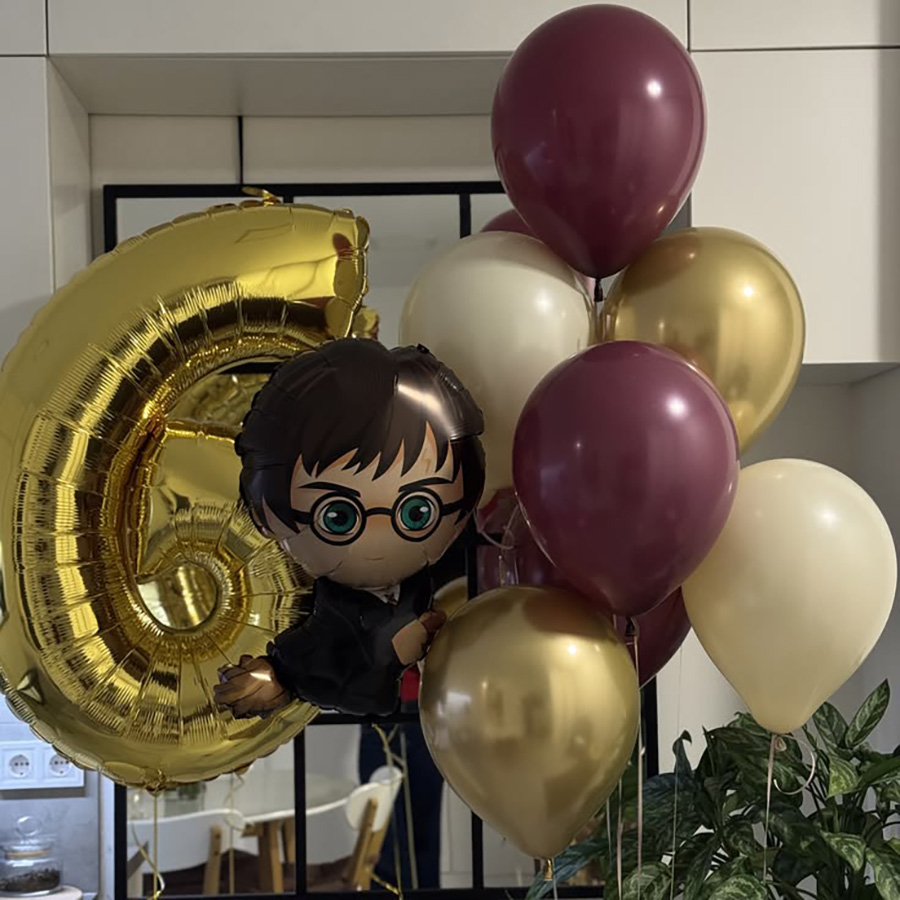 Shary_Potter (6)